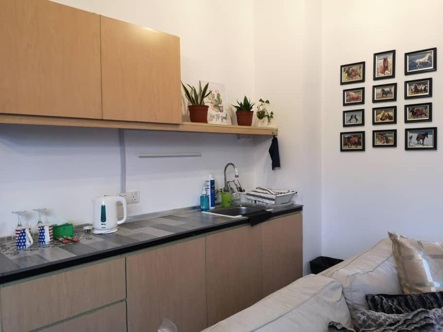 Empire Damansara Homes By Cities Homes Malaysia 八打灵再也 外观 照片
